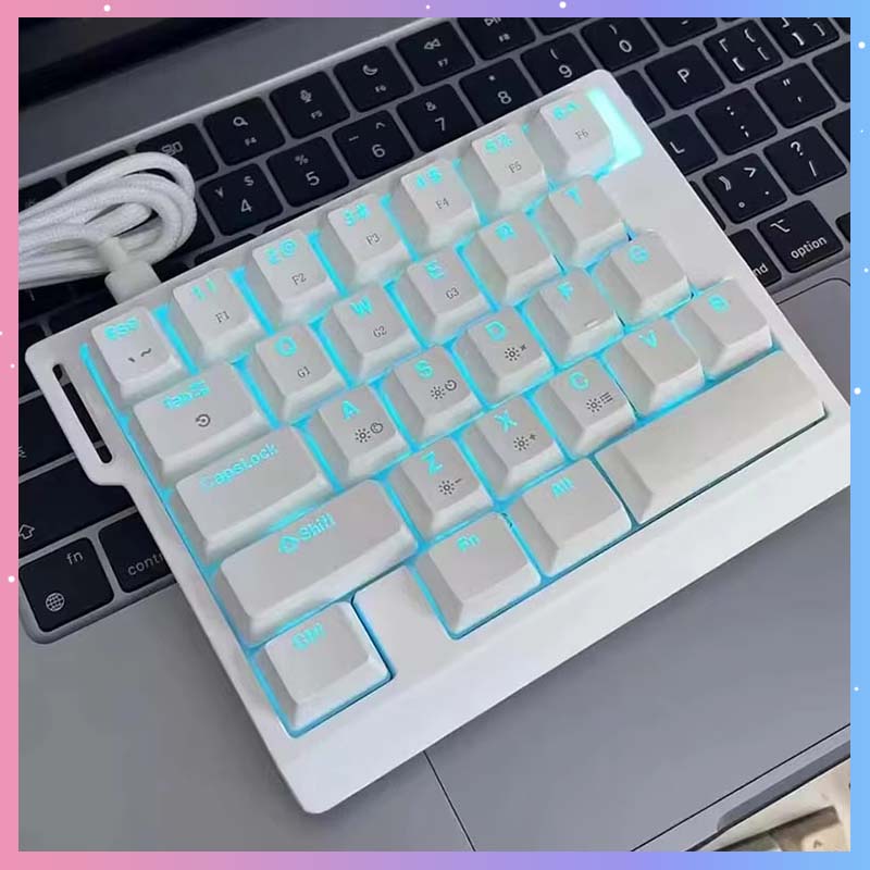 HE30 Mechanische Gaming-Tastat – Gaming Keyboard Magnetic Switches Bewertung und Preis